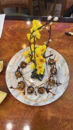 Best Tiger in Bohemia, NY